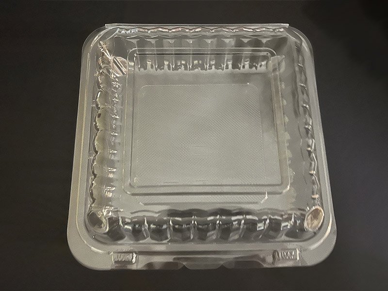 24 9inch Single Comp PET Clamshell Container - Image 1